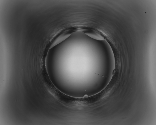 X0000087680255200705041034