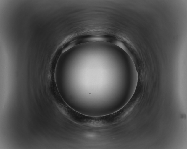 X0000087680256200705041034