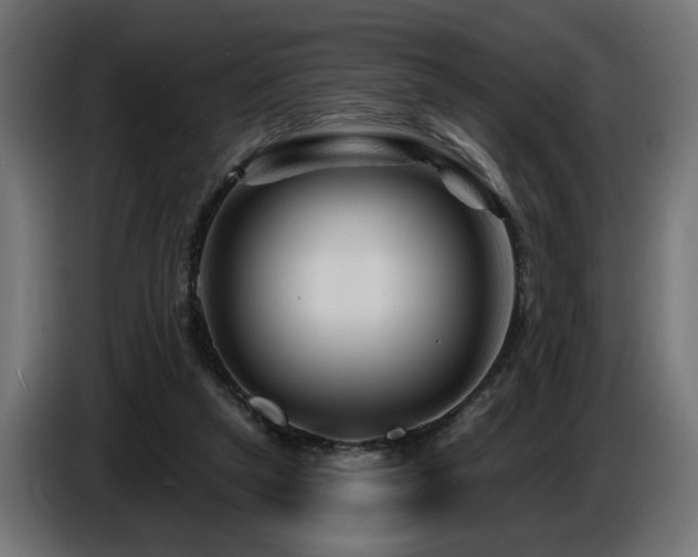 X0000087680257200705041034