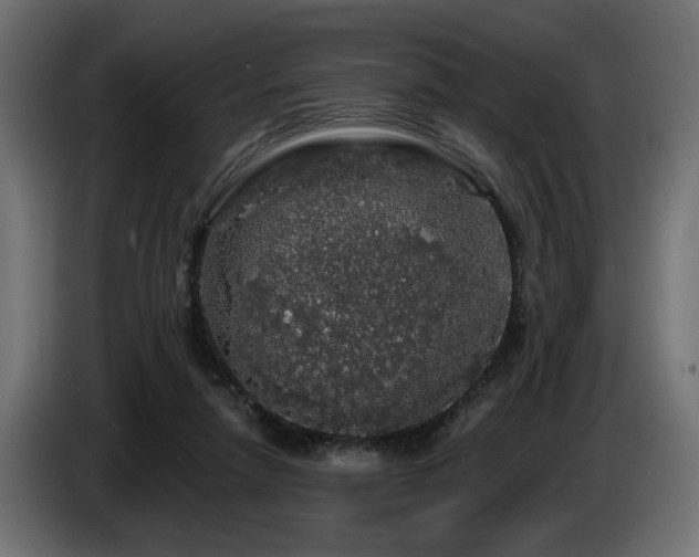 X0000087680258200705041034