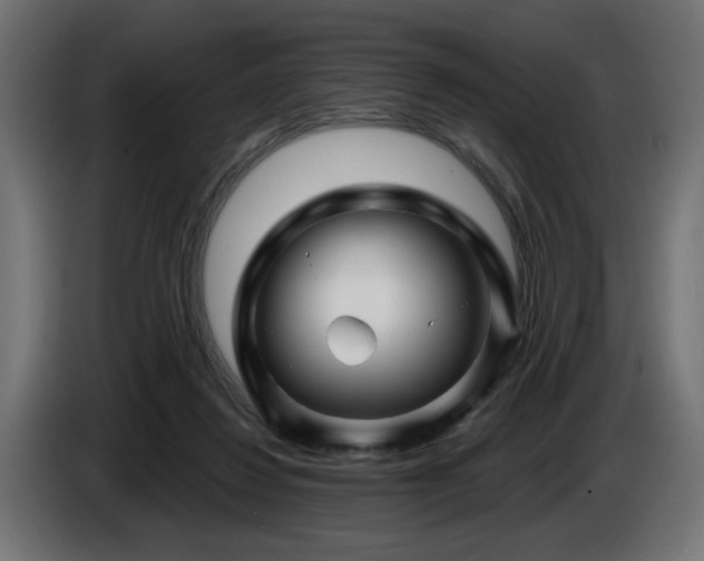 X0000087680260200705041034