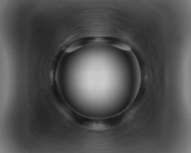 X0000087680262200705041034
