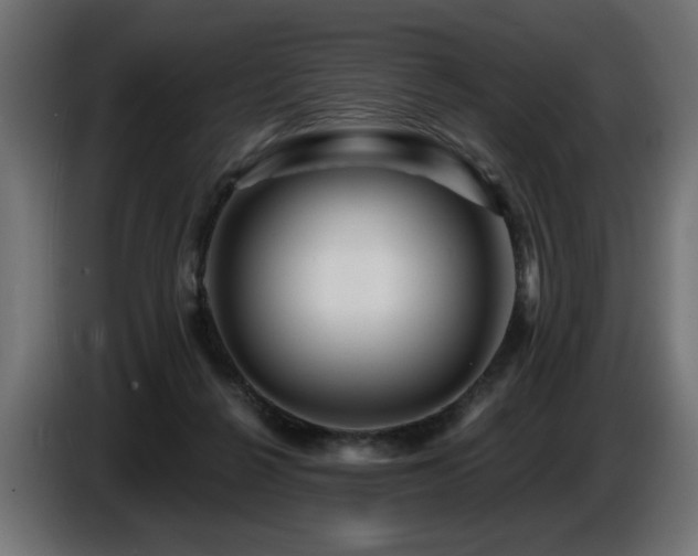 X0000087680264200705041034