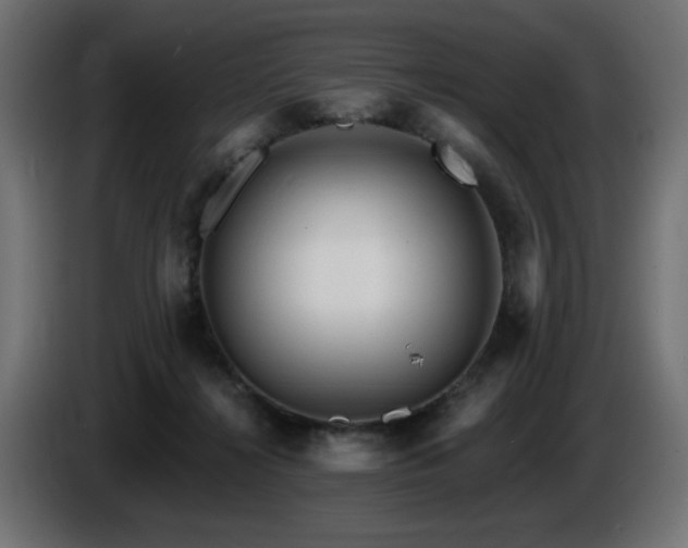 X0000087680268200705041034