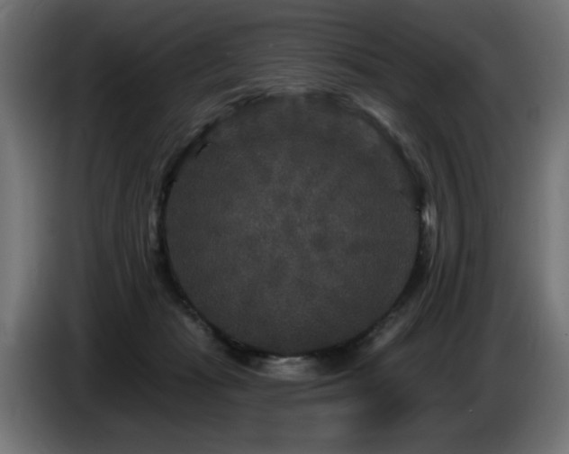 X0000087680269200705041034