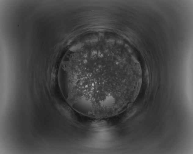 X0000087680271200705041034