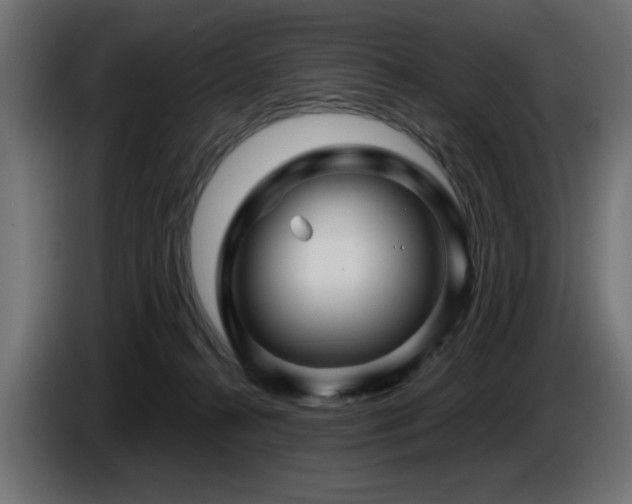 X0000087680272200705041034