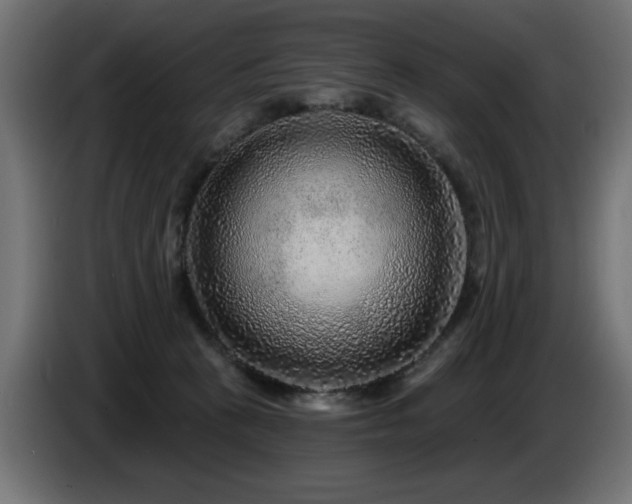 X0000087680273200705041034