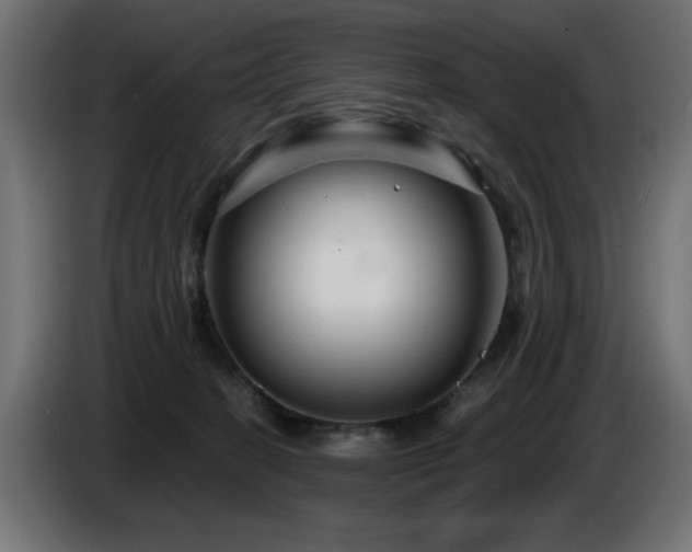 X0000087680274200705041034