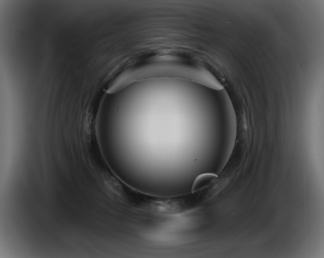 X0000087680275200705041034