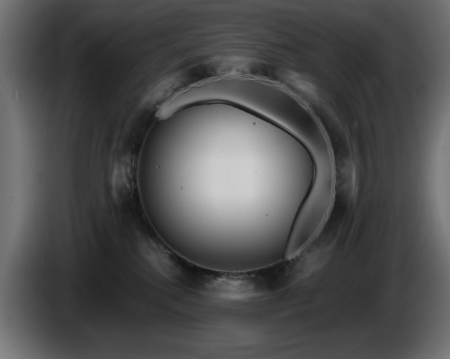 X0000087680280200705041034