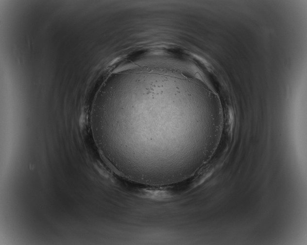 X0000087680284200705041034