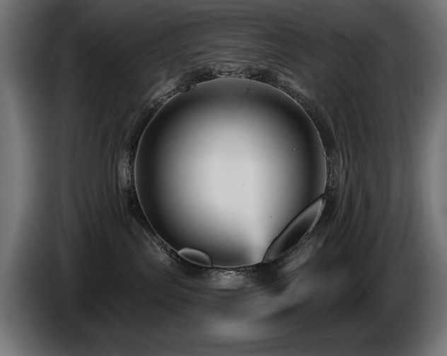X0000087680287200705041034