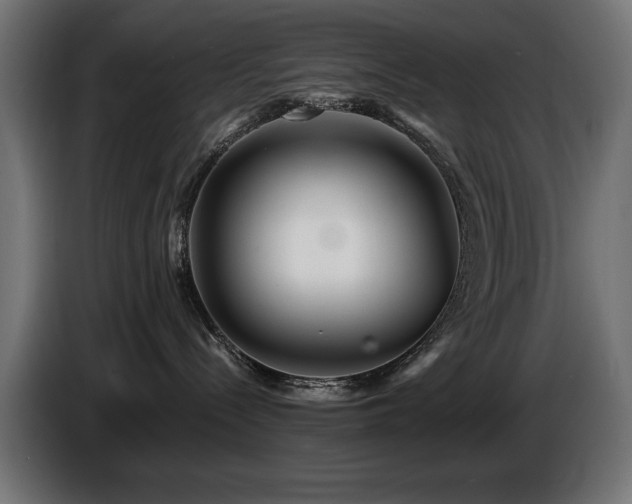X0000087680288200705041034