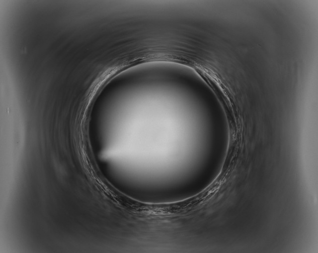 X0000087680289200705041034