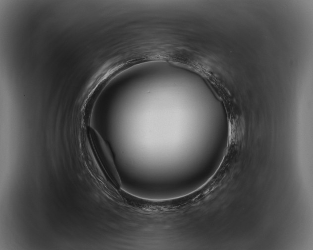 X0000087680291200705041034