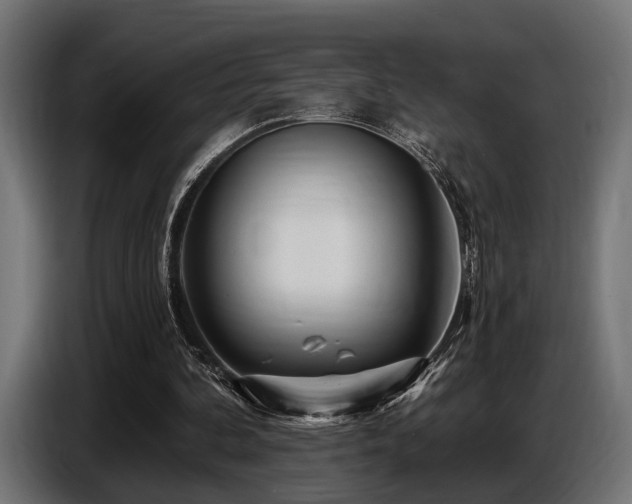 X0000087680292200705041034
