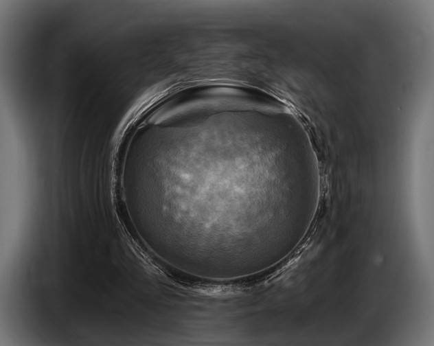 X0000087680293200705041034