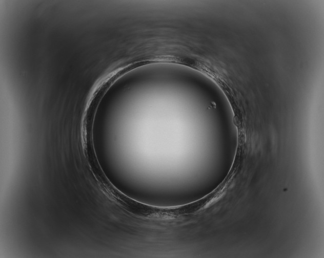 X0000087680294200705041034