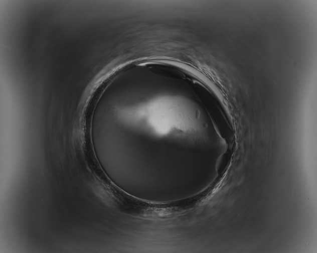 X0000087680295200705041034