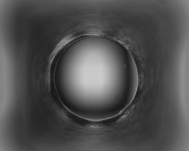 X0000087680296200705041034