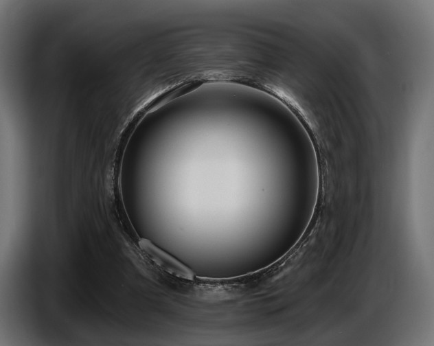 X0000087680297200705041034