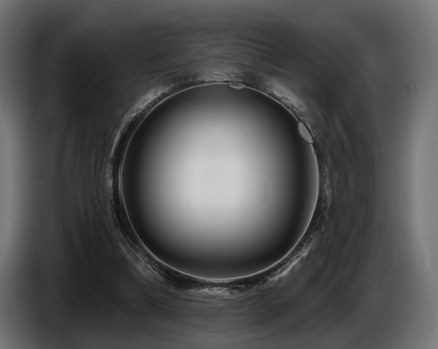 X0000087680298200705041034