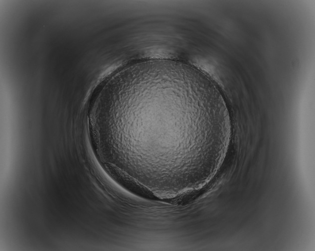 X0000087680299200705041034