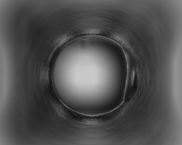 X0000087680300200705041034