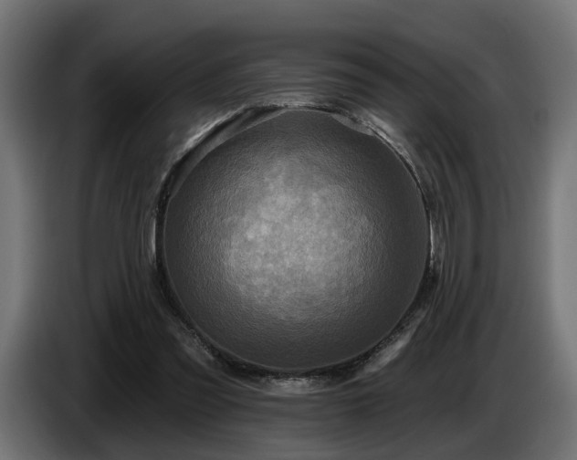X0000087680301200705041034