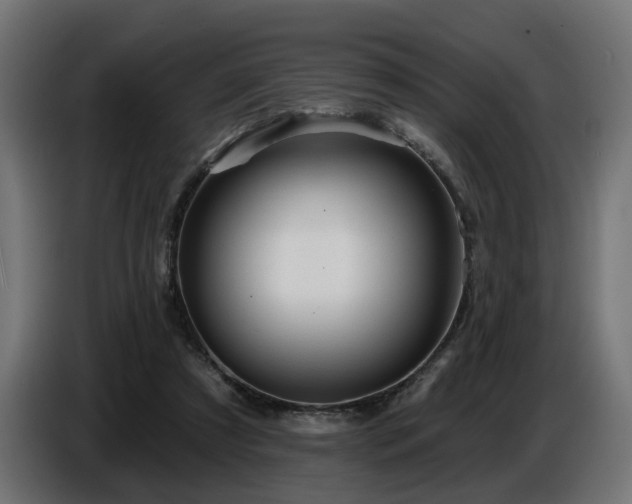 X0000087680305200705041034