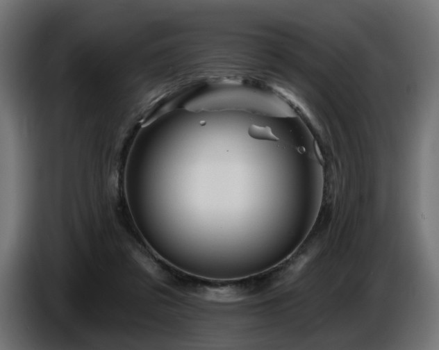 X0000087680309200705041034