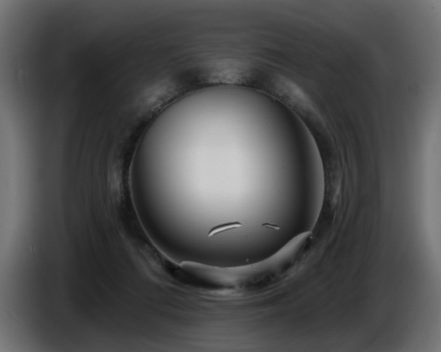 X0000087680312200705041033