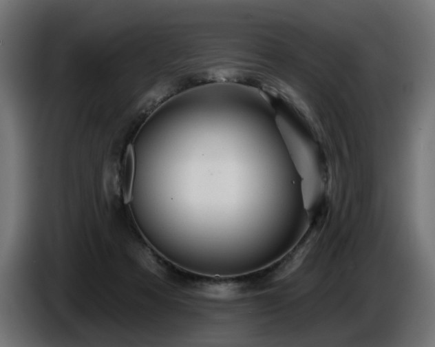 X0000087680313200705041033