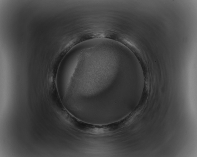 X0000087680314200705041033