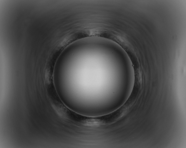 X0000087680316200705041033