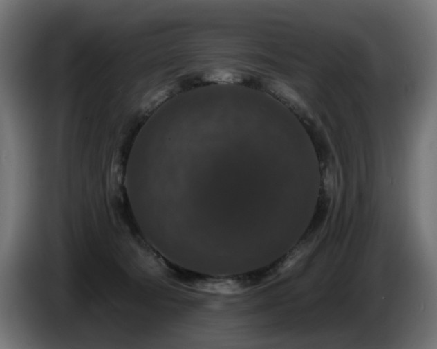 X0000087680322200705041033