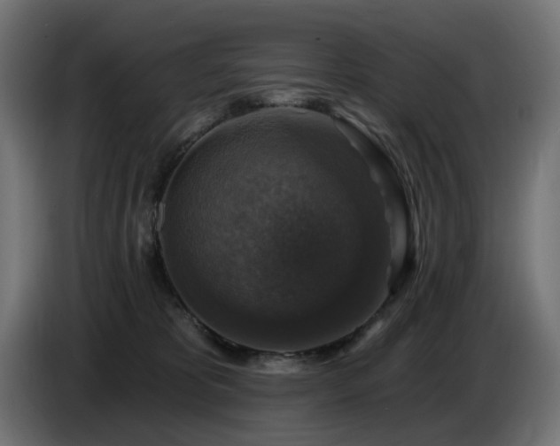 X0000087680325200705041033