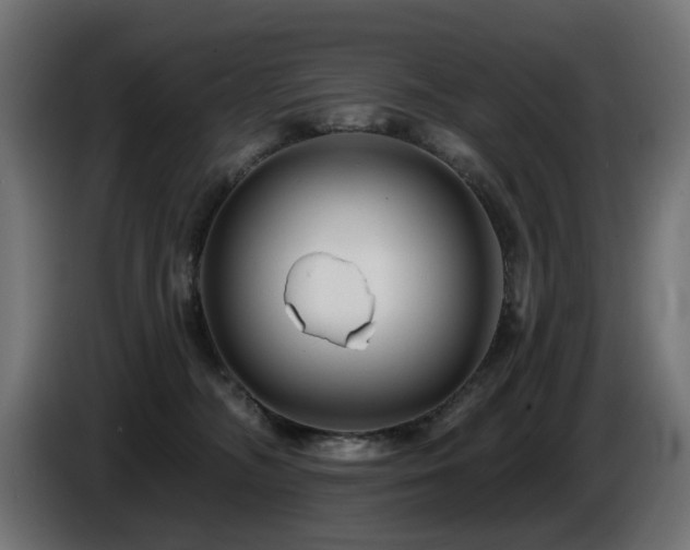 X0000087680326200705041033