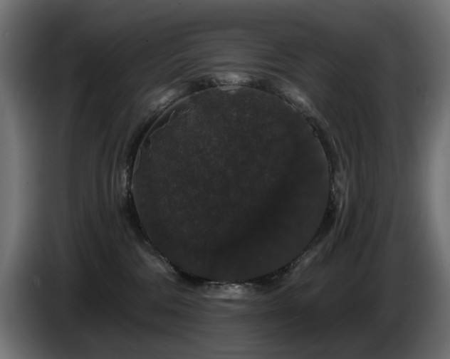 X0000087680330200705041033