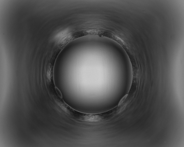 X0000087680334200705041033