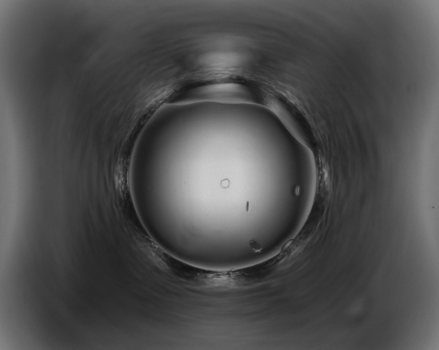 X0000087680335200705041033