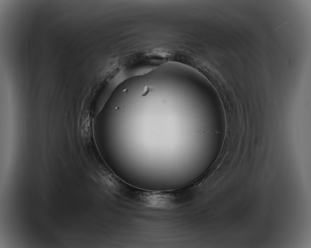 X0000087680336200705041033