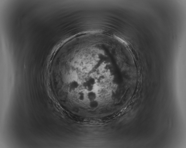 X0000087680337200705041033