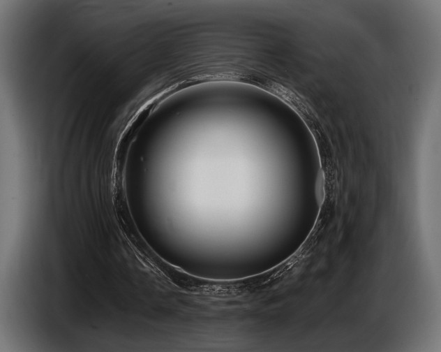X0000087680338200705041033