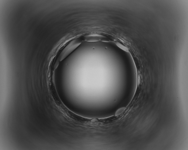 X0000087680339200705041033
