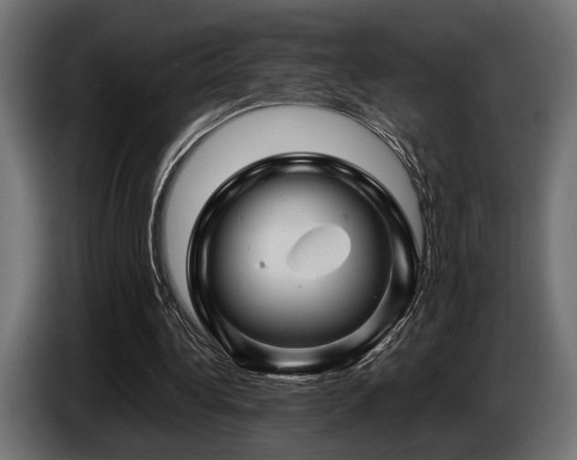 X0000087680340200705041033