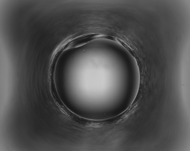 X0000087680341200705041033