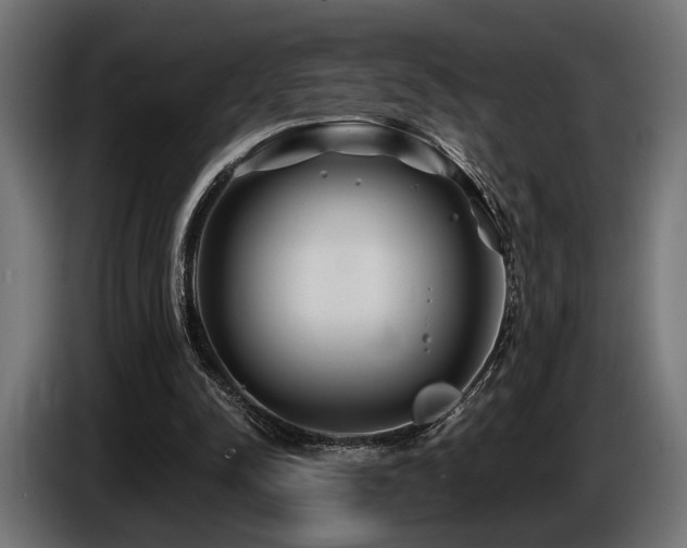 X0000087680342200705041033