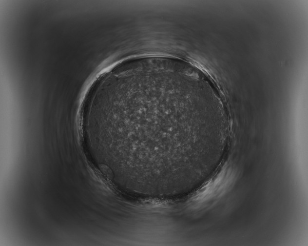 X0000087680343200705041033